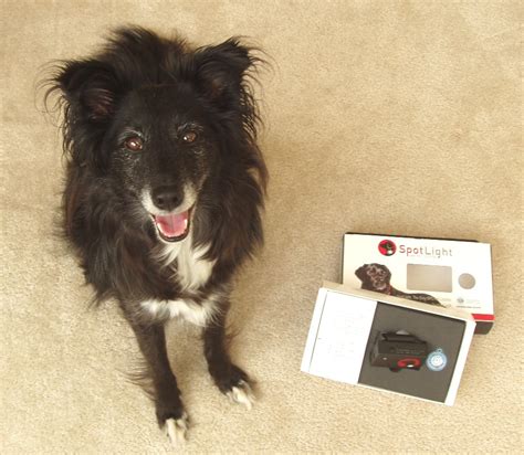 The Days of Johann, an agility dog!: Testing out the SpotLight GPS Pet Protection System!