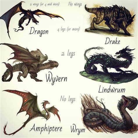 2,067 Likes, 28 Comments - Dragons & Monsters (@dragons_monsters) on ...