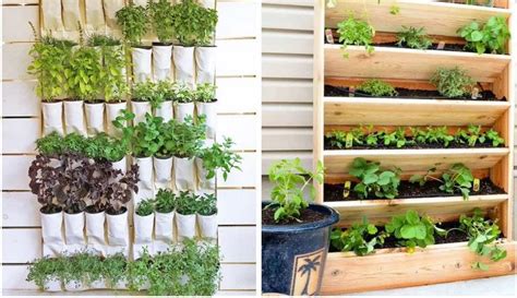 25 DIY Vertical Garden Ideas for Small Spaces | by Joseph Onyango | Medium