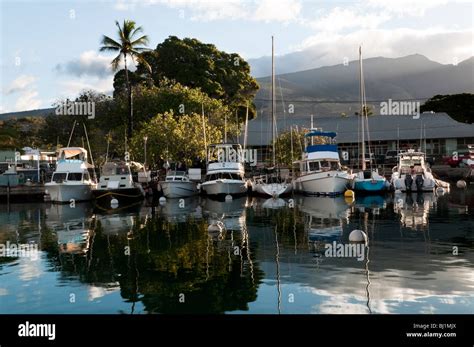 Classic shot of Lahaina Harbor, West Maui Hawaii showing big game fishing boats and west Maui ...