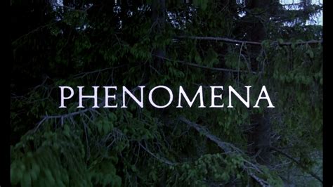 Lost Sounds and Soundtracks. Dario Argento's "Phenomena" on Notebook | MUBI