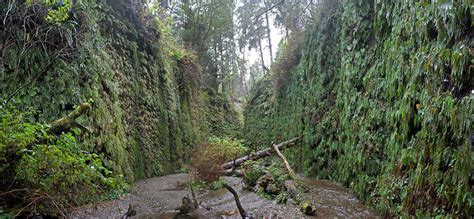 Top 10 Hiking Trails In Griffith Park, California | Trip101