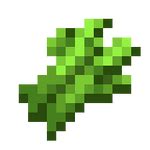 Sugar Cane – Minecraft Wiki