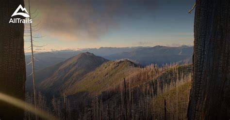 Best Trails near Cave Junction, Oregon | AllTrails