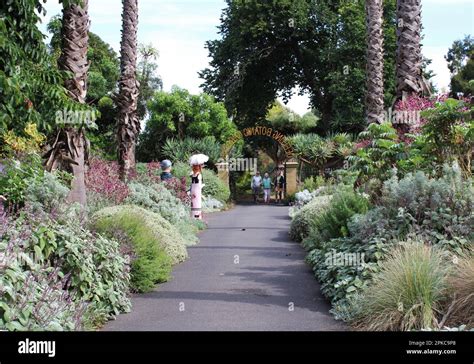 Geelong Botanic Gardens, in Victoria, Australia Stock Photo - Alamy