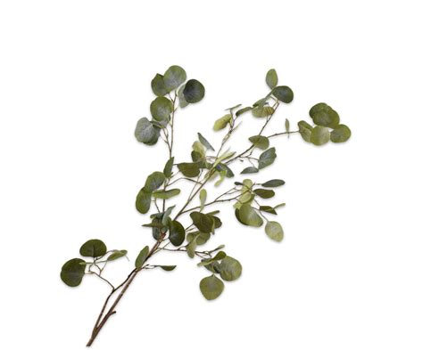 EUCALYPTUS SPRAY GREEN 128 CM