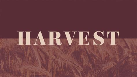 Harvest – Stevens Creek Church