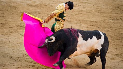 Spanish Bullfighter Gored to Death in Ring