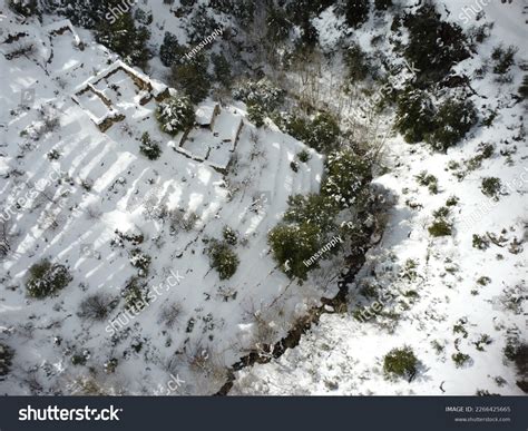 Forests Biodiversity Lebanon: Over 31 Royalty-Free Licensable Stock ...