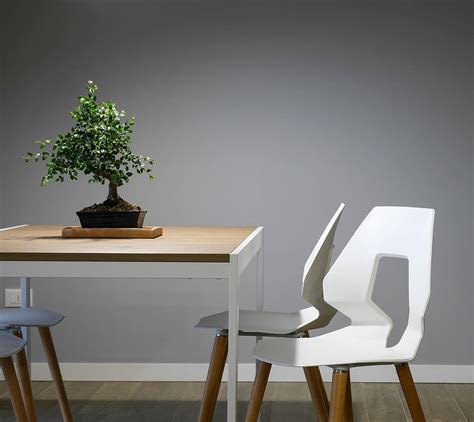 wooden, table, plant decor, chairs, interior, design, furniture, green, plant, wall | Pxfuel