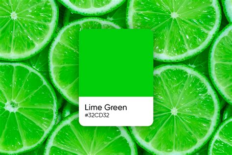 What Color Is Lime Green? Meaning, Similar Colors and How To Work With ...