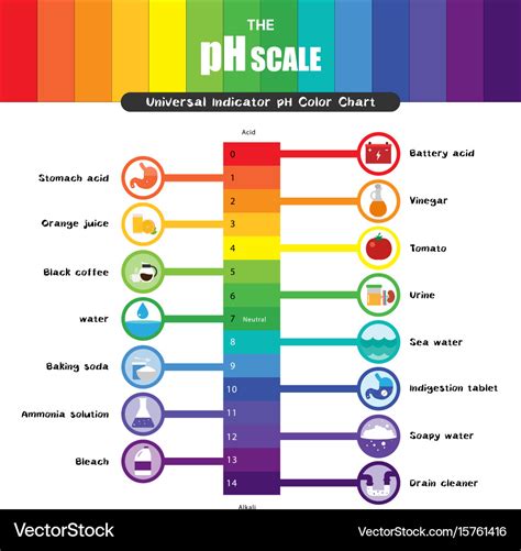 Ph scale universal indicator color chart Vector Image