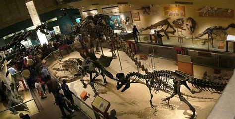 Dinosaur exhibit at the Smithsonian | Dinosaur exhibit at th… | Flickr