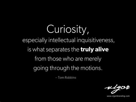 Quotes About Being Curious. QuotesGram