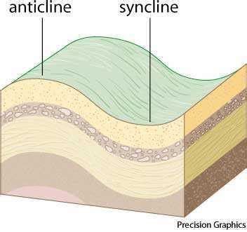 Syncline dictionary definition | syncline defined