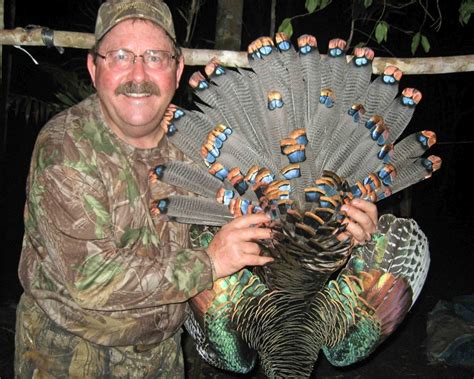 Ocellated Turkey Hunting - Ramsey Russell's GetDucks.com