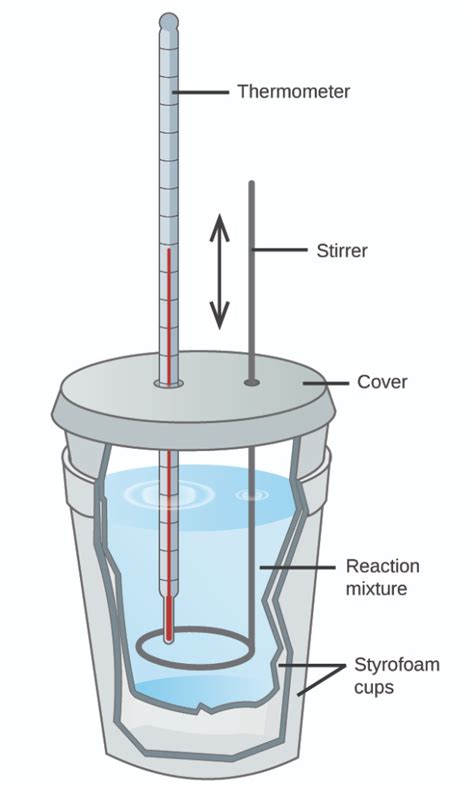 Calorimetry | ChemTalk