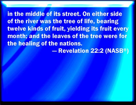 Revelation 22:2 In the middle of the street of it, and on either side ...