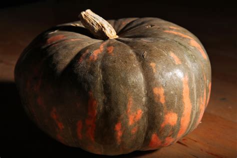 Six Heirloom Squash Varieties - The New York Times