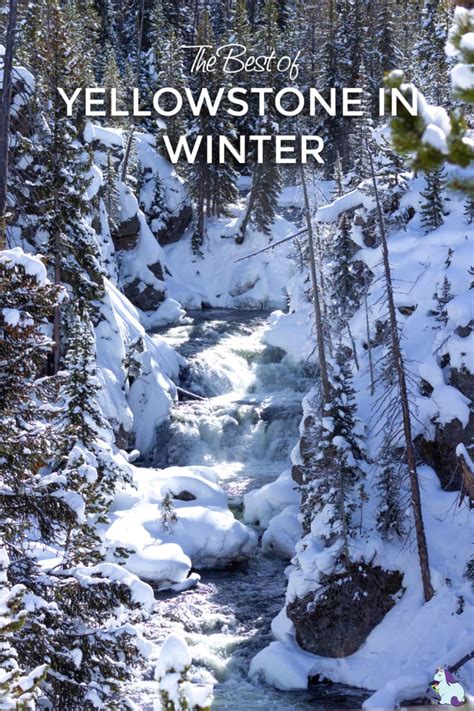 WINTER Itinerary Ideas - Ultimate Yellowstone Vacation | A Magical Mess