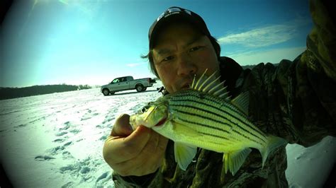 Yellow Bass Fishing - YouTube