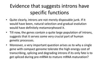 FUNCTIONS OF INTRONS.pptx