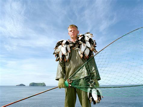 Portrait of puffin hunter Jakob Erlingsson holding the puffins he has ...