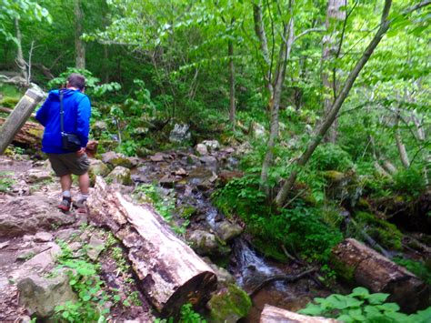 The 6 Best Hikes in Shenandoah National Park — Dirty Shoes & Epic Views