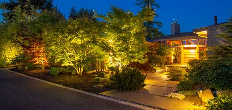 Led Vs Low Voltage Landscape Lighting | Shelly Lighting