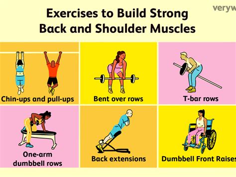 Shoulder Anatomy 6 Exercises For Shoulder Size And St - vrogue.co