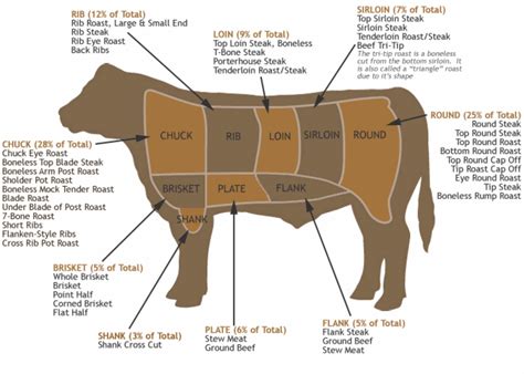 Primal Cuts Of Beef – Where Your Cuts Actually Come From – 12 Tomatoes