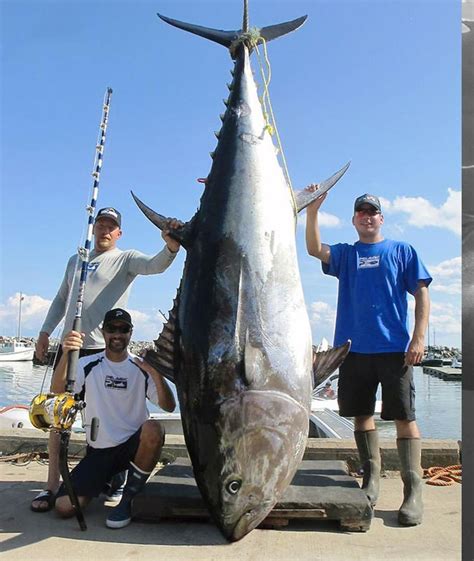 192 best Bluefin Tuna images on Pholder | Fishing, Sushi and Food