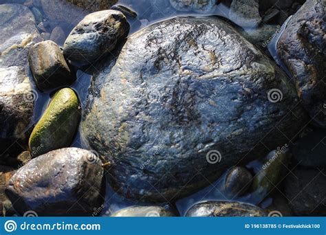 Rocks in a British Seaside Rock Pool Stock Image - Image of shot, british: 196138785