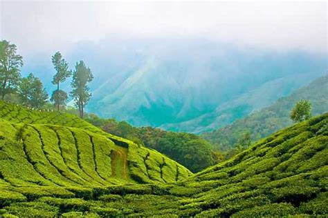 Tea Museum, Munnar, Kerala - Mystikal Holidays-Curating personalized ...