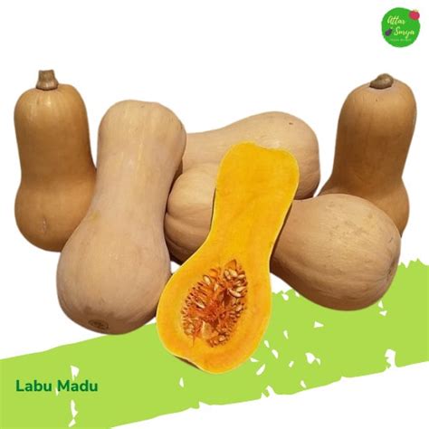 Jual Labu Madu 1 buah | Shopee Indonesia