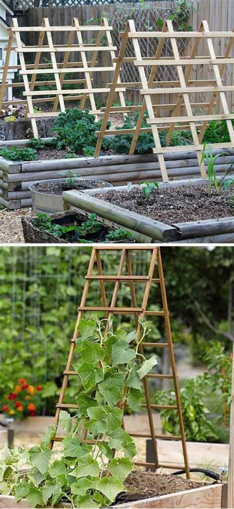 Top 28 Easy and Cheap DIY Garden Trellis Ideas