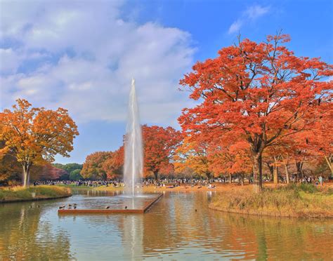 代代木公園 / 東京旅遊官方網站GO TOKYO