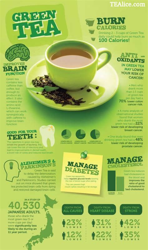 Green Tea and its Health Benefits – Tealise