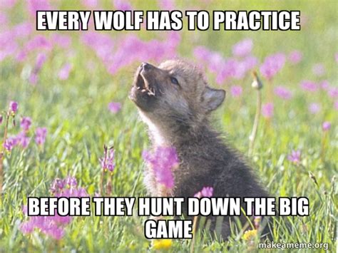 every wolf has to practice before they hunt down the big game - Baby Insanity Wolf Meme Generator