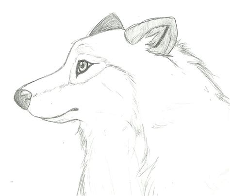 Wolf Head Side Drawing at GetDrawings | Free download