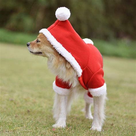 These Christmas Outfits For Dogs Are Adorable & Funny! - Mr. Cute Animals | Cute christmas ...