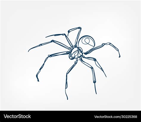 Spider art line isolated doodle Royalty Free Vector Image