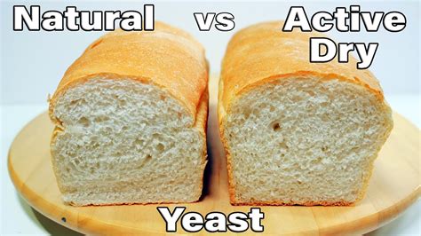 Natural Yeast vs Active Dry Yeast Bread / Sandwich Bread Recipe / No Egg, No Milk, No Butter ...