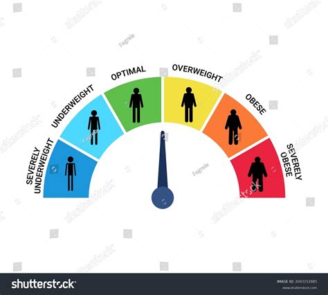 Bmi Categories Chart Body Mass Index Stock Vector (Royalty Free ...