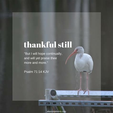 Thankful Still