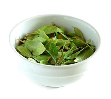 Henna Leaves | Henna Manufacturer - Natural Herbal