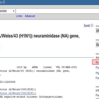 Nucleotide Sequence 1 3. Process of Nucleotide Sequence Alignment BLAST... | Download Scientific ...