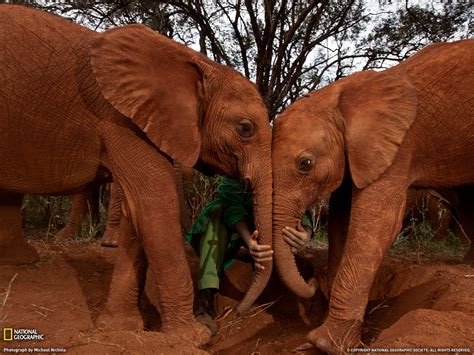 National Geographic Photo of The Day (August 2011) | Amazing Creatures