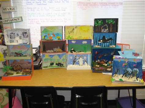 Animal Habitat Diorama Project | Mrs. McBride's Class Family