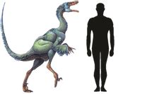 Troodon | Dinopedia | Fandom